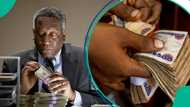 Nigeria's foreign exchange market faces volatility despite rising corporate inflows