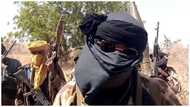 8 Killed, many injured, newlywed brides abducted as daredevil bandits attack Niger communities