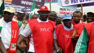 NLC demands reduction of salaries of Nigerian politicians