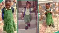 "They are passing a message to his mum": Woman amused as son returns from school in female uniform