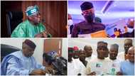 Did Jonathan make it? Here is list of 23 APC presidential aspirants being screened ahead of primaries