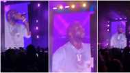 Lady sheds uncontrollable tears as she watches Davido perform at London festival in trending video