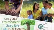 Environment issues in Nigeria: problems and solutions