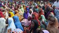 "7.3 million adolescent Nigerian girls malnourished": New reports warns