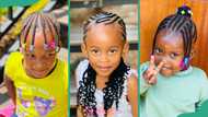 Kids' hairstyle for school: 25 ideas for natural hair