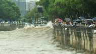 Typhoon Muifa lashes eastern China, forcing 1.6 million from their homes