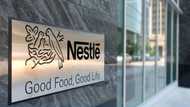 Nestle Chairman David Ifezulike set to receive N2.5m as company approves dividend of N36.50 per share