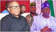 Tension as Peter Obi asked to withdraw petition challenging President Tinubu's victory