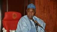 2023: Governor Masari predicts massive victory for APC, gives reasons