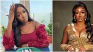 "Looking beautiful is not cheap": BBNaija Tolani Baj counsels men on spending money to maintain relationships