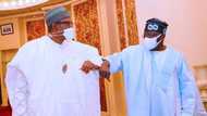 An Fitar Da Sunayen Jihohi 10 Da Buhari Zai Halarci Kamfen Din Tinubu Da Kansa