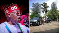 President Tinubu's ministerial list: APC governors in fresh permutation