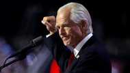 Trump taps Peter Navarro as trade, manufacturing counselor