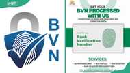 How to check my BVN date of birth online and on phone