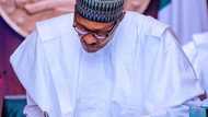 Top UK official hails Buhari for signing police bill, this is what she had to say