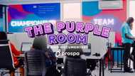 The Purple Room - A MOO Documentary by Prospa