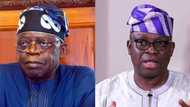 2023: Intrigues as Fayose speaks on Tinubu's rumoured presidency ambition, says "he's a leader"