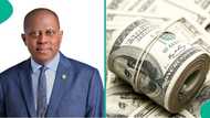 Big win for naira: CBN announces $8.6bn FX turnover as dollar inflows surge, reserves hit new high
