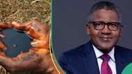 Marketers write FG amid crude oil sabotage claims, move to protect Dangote refinery