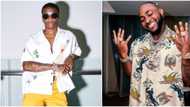 30BG fans drag young lady for saying Wizkid's throwback hits are better that Davido's present songs