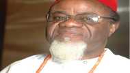 2023 presidency: We are ready to kneel to get support from other regions for Southeast, Ezeife reveals