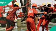 PENGASSAN confirms as NNPC, Seplat, Shell, other oil firms increase workers' salaries by 300 per cent