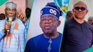 2027 election: Presidential aide lists 8 things that make Tinubu better than Obi, Atiku, others
