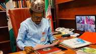 Court sacks prominent senator as APC candidate in 2023 election