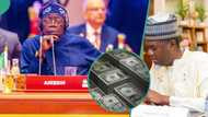 Mai ba Jonathan shawara ya nunawa Tinubu hanyar farfado darajar Naira kan Dala