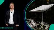 Elon Musk’s Starlink asked to stop operations in Namibia as MTN moves to start satellite service