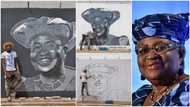 Young Nigerian man paints Okonjo-Iweala on a big wall, photos of artwork go viral
