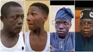 Ikorodu Bois bring smiles to many faces as they replicate Tinubu, Osuofia, others' styles, video trends