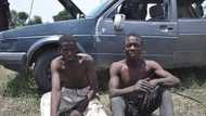 Hotunan Ƴan Boko Haram Da Aka Kama Da Magungunan Ƙarfin Maza Da Wasu Kayayyaki a Borno