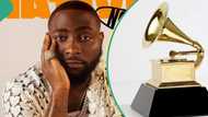 "Dem think say na Tacha": Drama as Davido's 30BG fans take action against Grammy, video trends