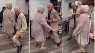 Romantic elderly couple with grey hair Storms dance floor, shakes their bodies like young people in video