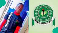 UTME 2026: Young man who checked his JAMB result raises alarm over unexpected text he received