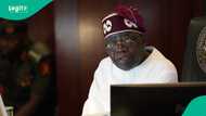 Establishing state police in Nigeria: "What I told US, European partners", Tinubu speaks