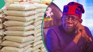 FG finally commences sale of 50kg rice for N40,000, gives location to buy