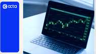 Plant your trading success: Leverage and margin explained by Octa Broker