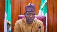 Zulum blasts UN officials, INGOs for allegedly diverting 30% of donor funds