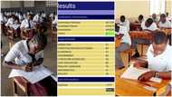 WAEC 2023 result: Nigerian girl makes her papers, gathers 3 A's & several B's, photo of result goes viral