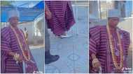 Royalty & class: Video shows moment Nigerian king Oniba Ekun steps out big, wears gold chains on neck & wrist