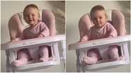 Viral video shows baby dancing in her chair to Loui's popular hip hop song Talkin Bout