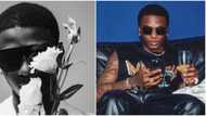 “After Michael Jackson, na Wizkid”: Singer stirs mixed reactions as he finally drops new song, Bad To Me