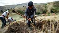 'We need information' plead Peru farmers battling drought, climate change