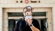 Hong Kong jails five for sedition over children's books