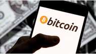 South African brothers involved in $2.2 billion bitcoin scam reacts to accusation