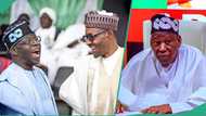 Tinubu, Buhari, Osinbajo, may decide Ganduje’s fate as APC chairman, details emerge