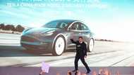 Tesla, BMW take EU to court over China EV tariffs