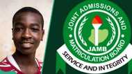 2024 UTME: Nigerian student scores 95 in Physics and Mathematics, gets 346 in total